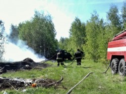 Причиной всех лесных пожаров во Владимирской области стал человеческий фактор