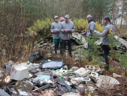 Более 2 тысяч квадратных метров леса в Ковровском районе превратились в свалку мусора