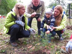 Самым юным участником акции «Живи, лес!» во Владимире стал трехлетний малыш