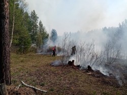 В лесах региона отменен особый противопожарный режим, но сохраняется пожароопасный сезон