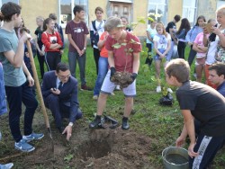 Во Владимирской области активно проходит кампания «Сохраним лес»