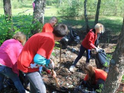 Активисты ОНФ во Владимирской области провели экологические акции в новом формате
